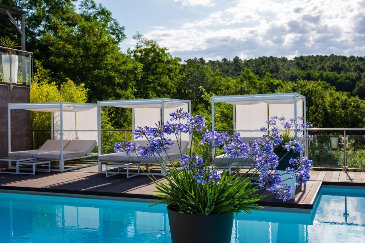 Domaine De Chalveches Hotel Spa 4* Faugeres  Exteriér fotografie