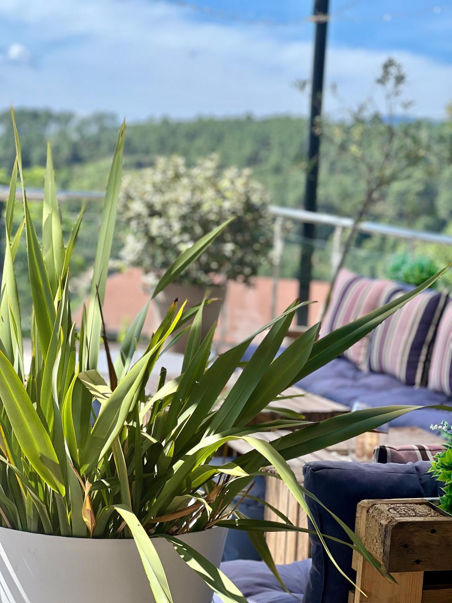 Domaine De Chalveches Hotel Spa 4* Faugeres  Exteriér fotografie